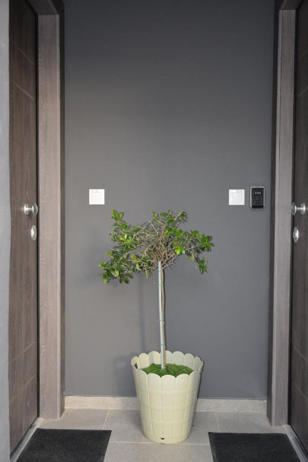 The Apartment Trikala  Ngoại thất bức ảnh